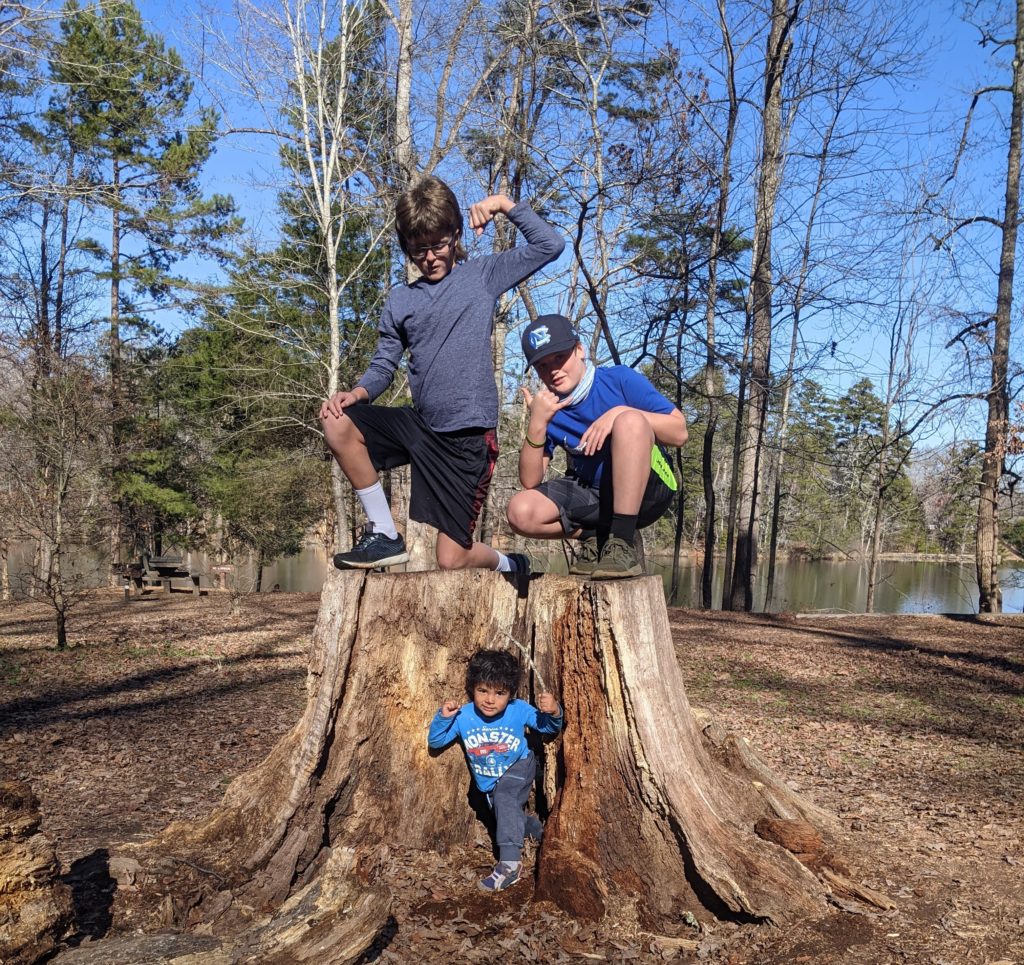 10 and 12 year old sons on top of a large tree stump. 3 year old is on the ground in the middle of the stump. They are all flexing muscles and posing for the picture.